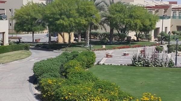 Landscaping