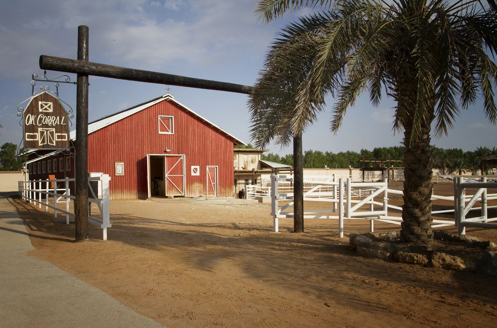 Petting Zoo/Farm