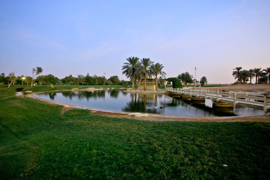 Duck Pond