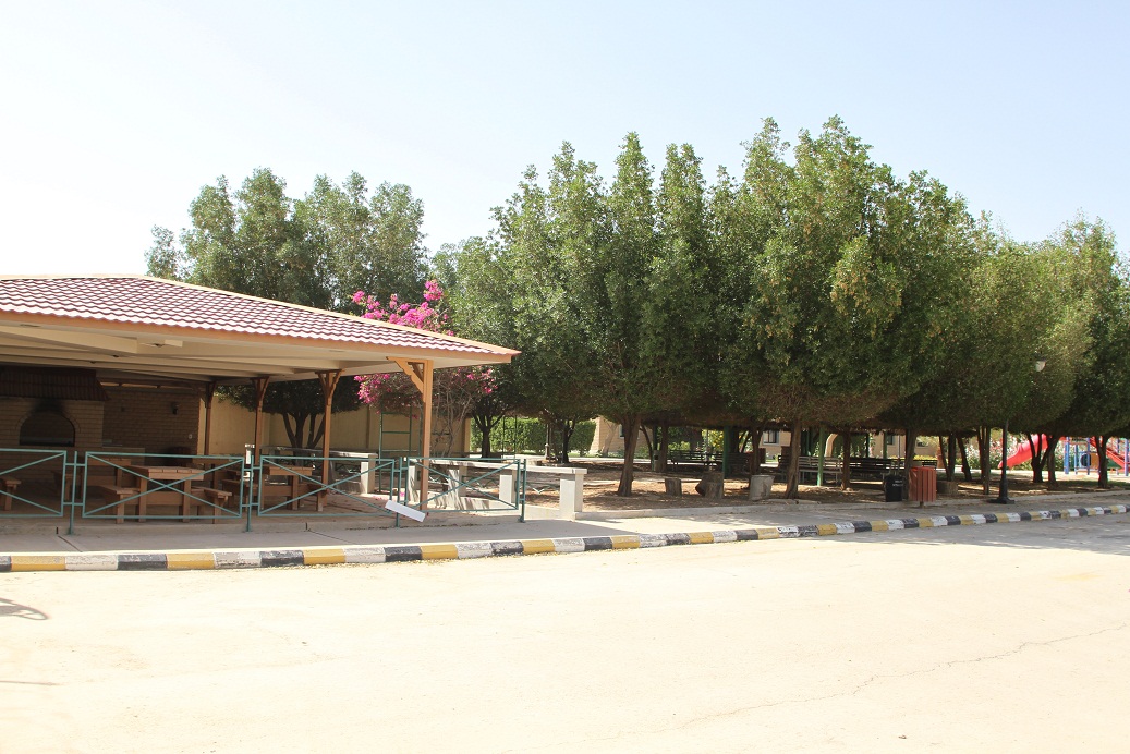 Bbq area