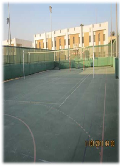 Basketball Court