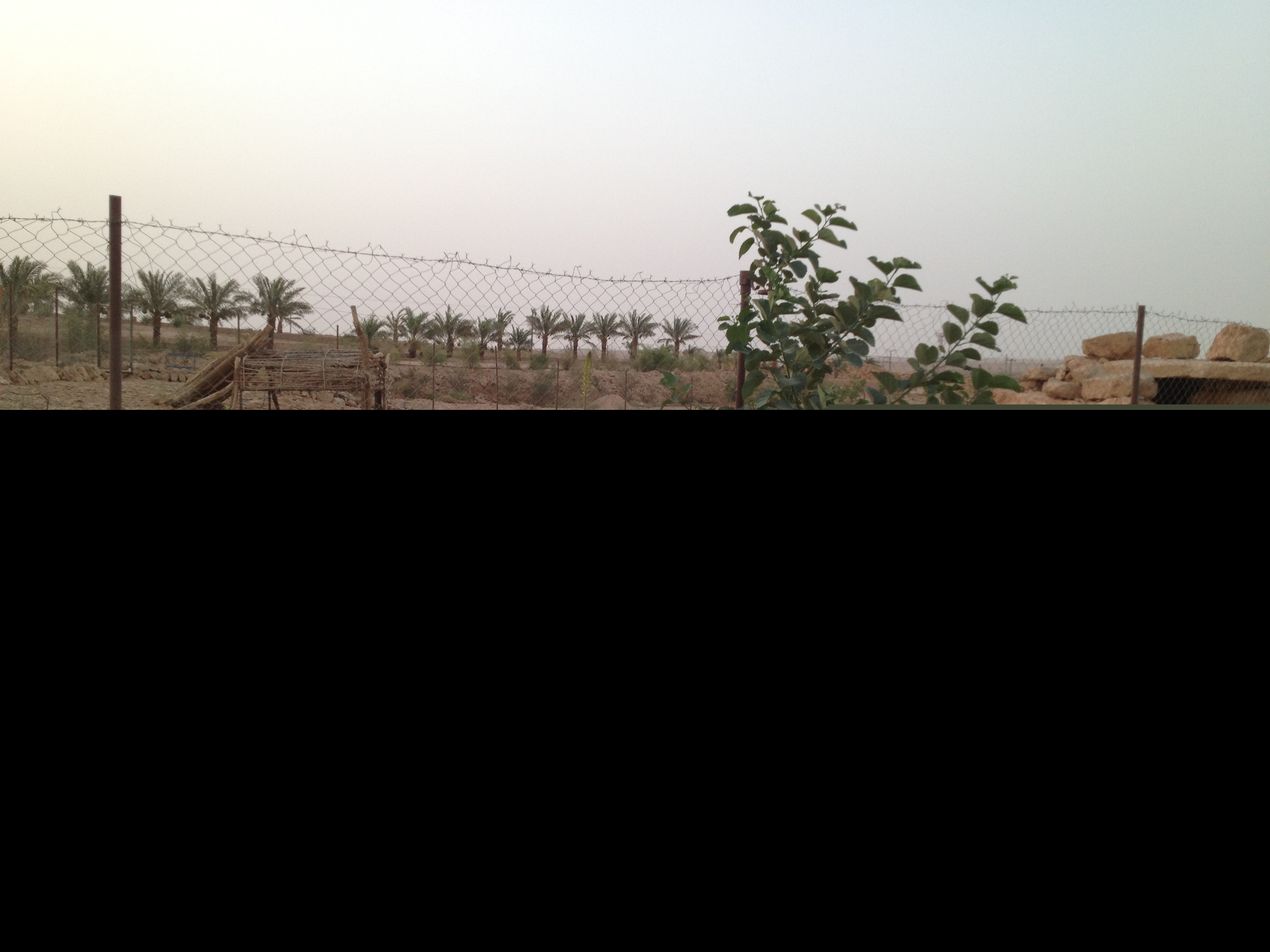 uphill garden
