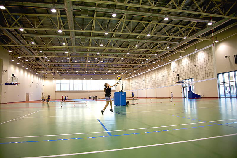 Basket Ball Court